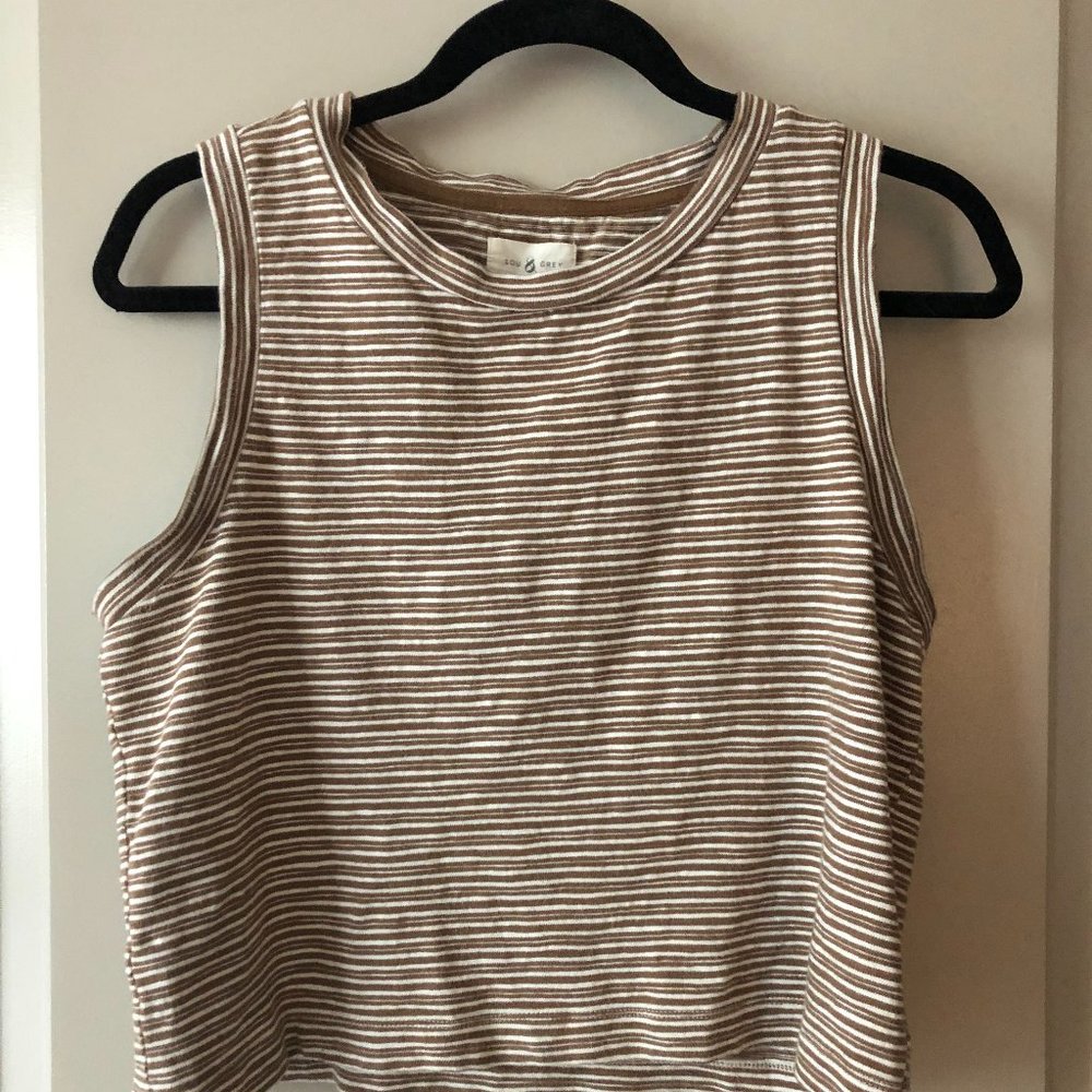 Lou & Grey Brown and White Striped Cropped Tank Top